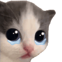 Crying Kitten
